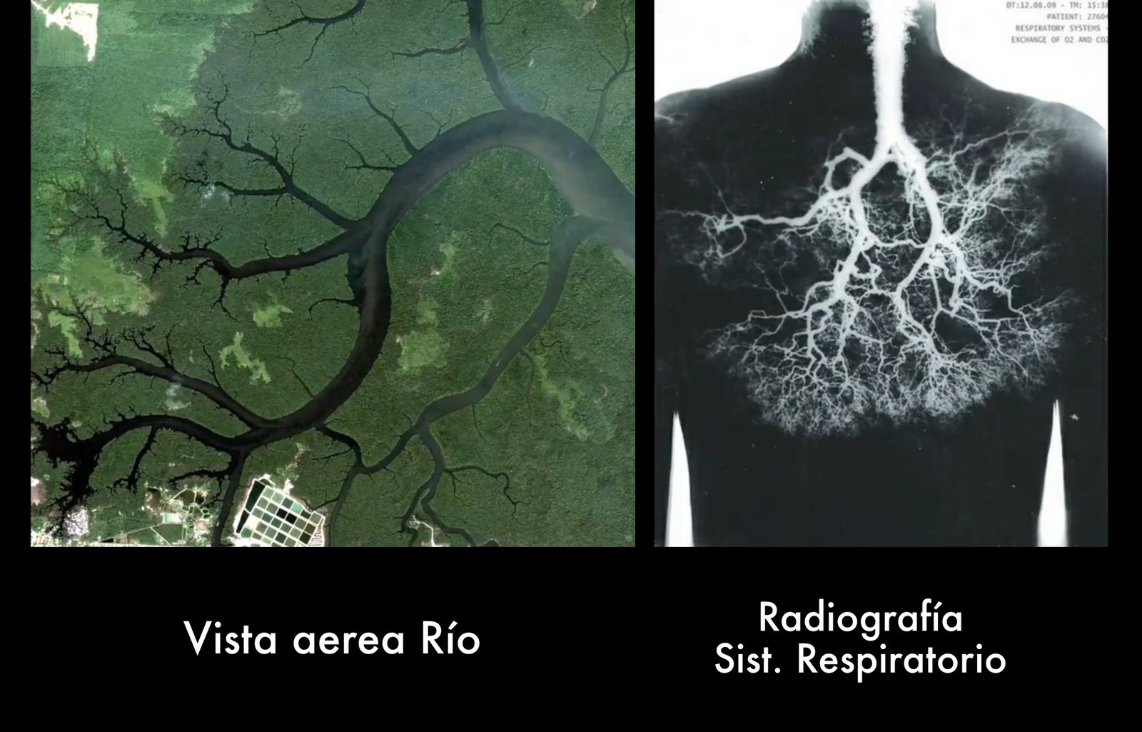 Geometría Sagrada, integrando el intelecto a la intuición