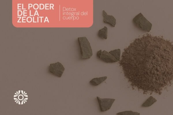 zeolita