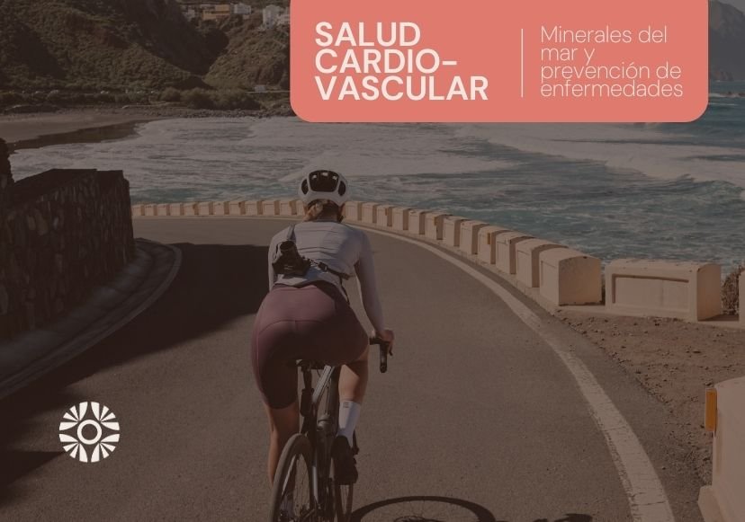 salud cardiovascular