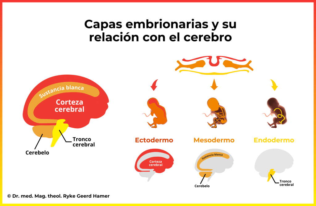 Nueva Medicina Germánica: Un Enfoque Integral de la Salud