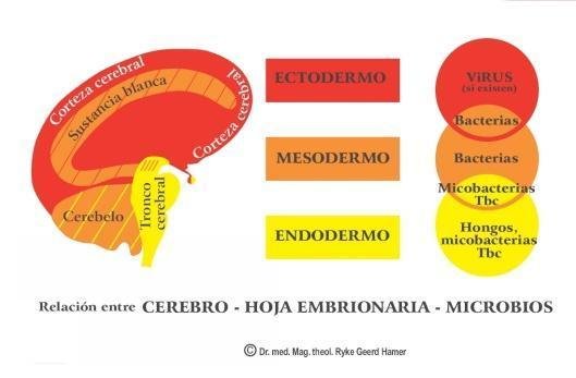 Nueva Medicina Germánica: Un Enfoque Integral de la Salud