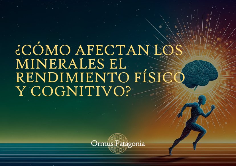 ¿Cómo Afectan los Minerales el Rendimiento Cognitivo y Físico?